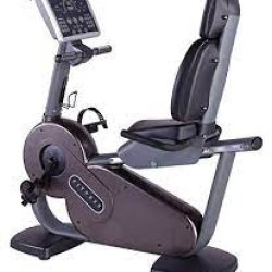 Commercial Recumbent Bike