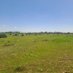 JUJA CREEK – 50 by 100 plots for sale – JUJA