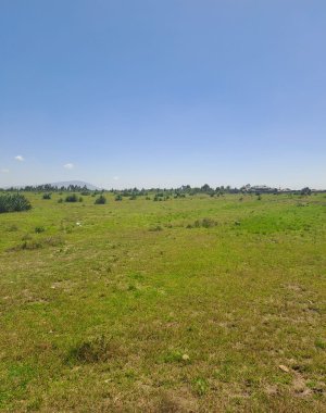 JUJA CREEK – 50 by 100 plots for sale – JUJA