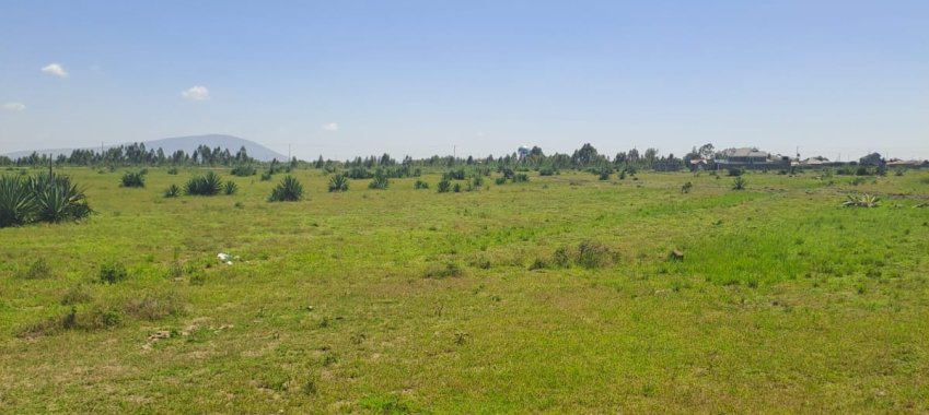 JUJA CREEK – 50 by 100 plots for sale – JUJA